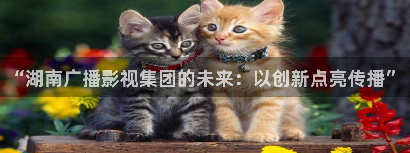 电影在线观看神马：“湖南广播影视集团的未来：以创新点亮传播”