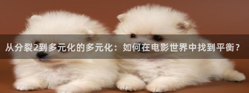 原神马影院我不卡：从分裂2到多元化的多元化：如何在电影世界中找到平衡？
