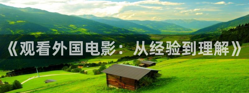 神马电影院dy888：《观看外国电影：从经验到理解》