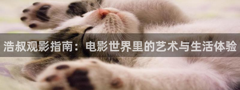神马国产不卡：浩叔观影指南：电影世界里的艺术与生活体验