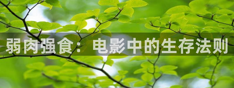 神马电影eee