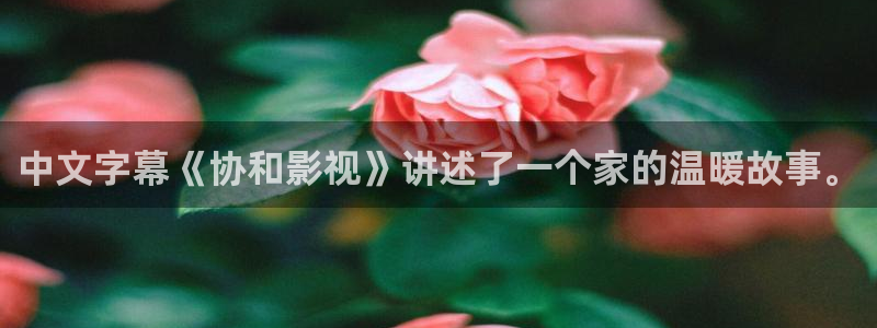 神马影院午夜大片：中文字幕《协和影视》讲述了一个家的温暖故事。