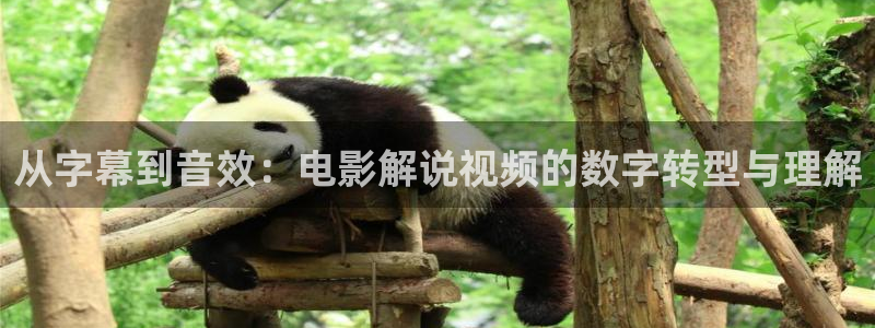 神马影院手机手机在线观看