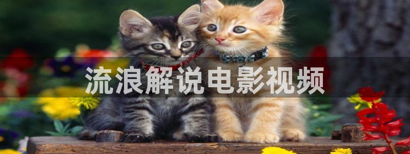 神马影院韩国