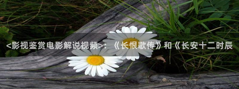 神马经典电影