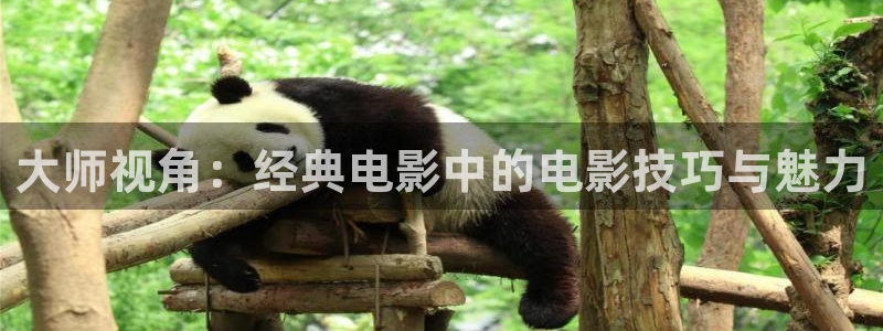 神马影院达达兔电影网