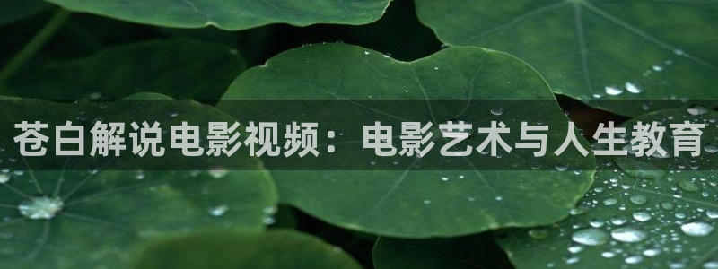 朋友的妈妈神马影院：苍白解说电影视频：电影艺术与人生教育