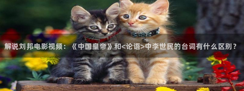神马成人影院：解说刘邦电影视频：《中国皇帝》和<论语>中李世民的台词有什么区别？