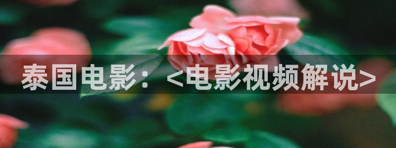 神马日本理论电影：泰国电影：<电影视频解说>