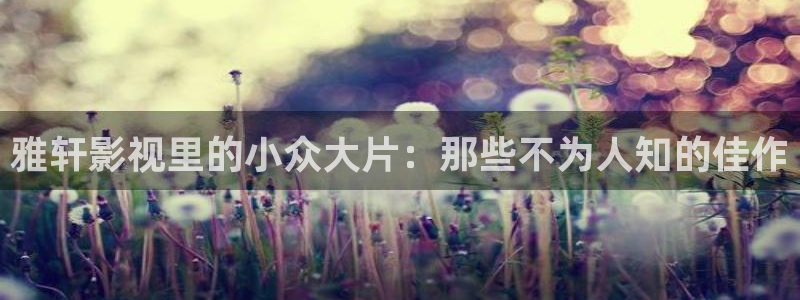 神马电影中字：雅轩影视里的小众大片：那些不为人知的佳作