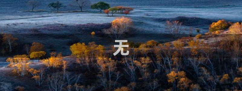 神马电影秋霞80s60：无