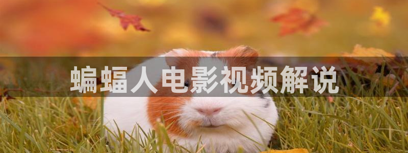 原来神马电影在线观看免费完整版：蝙蝠人电影视频解说