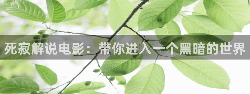 神马伦理不卡影院