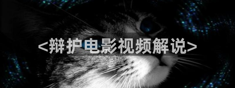神马视频在线播放：<辩护电影视频解说>