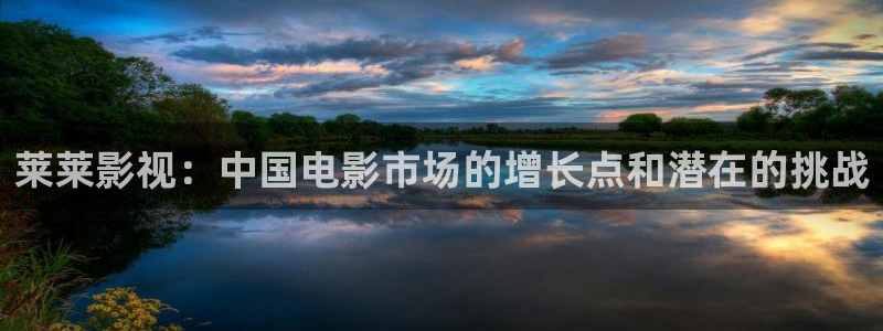 神马伦理影片：莱莱影视：中国电影市场的增长点和潜在的挑战