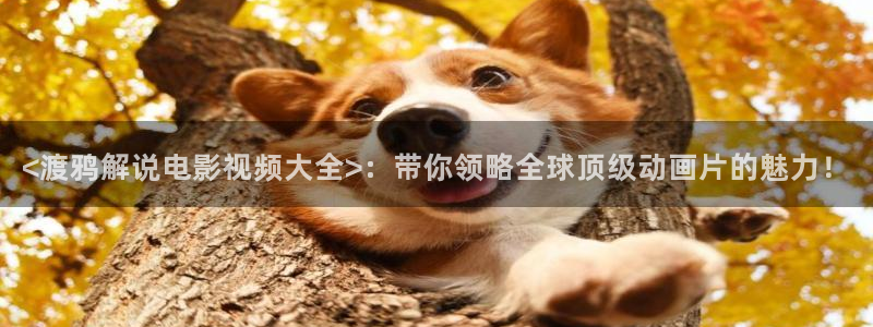 电影网神马：<渡鸦解说电影视频大全>：带你领略全球顶级动画片的魅力！