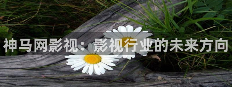 现在神马影院：神马网影视：影视行业的未来方向
