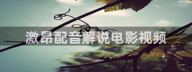 神马在线观看免费电影：激昂配音解说电影视频