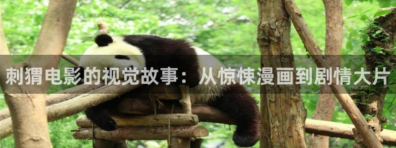 大陆伦理一神马影院：刺猬电影的视觉故事：从惊悚漫画到剧情大片