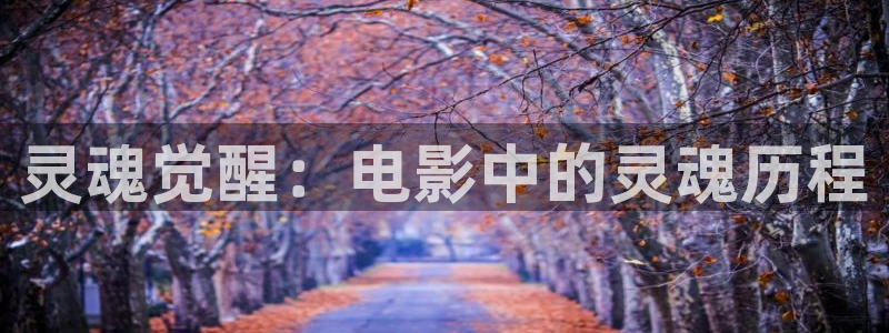 神马88影视：灵魂觉醒：电影中的灵魂历程