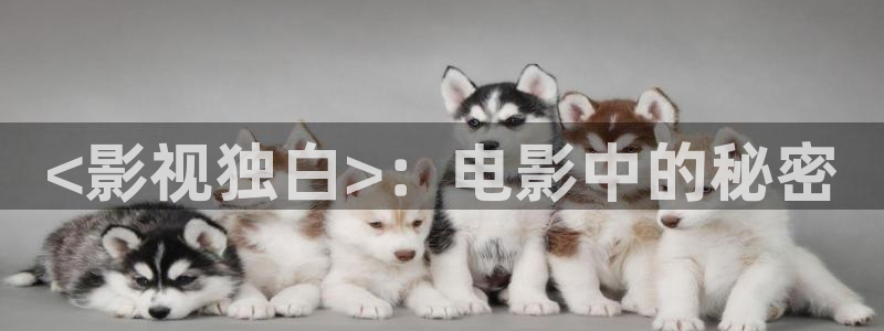 神马电影888影视：<影视独白>：电影中的秘密