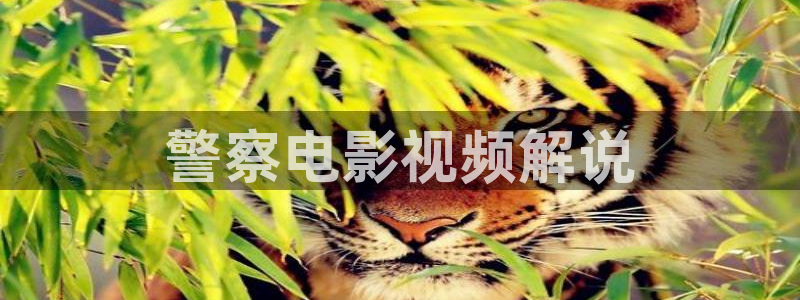 good神马电影院：警察电影视频解说