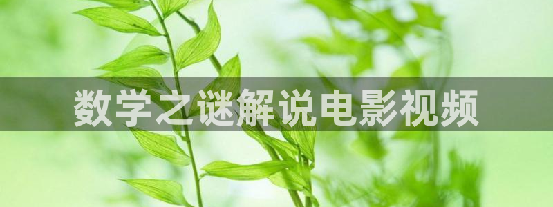 神马西瓜免费电影：数学之谜解说电影视频