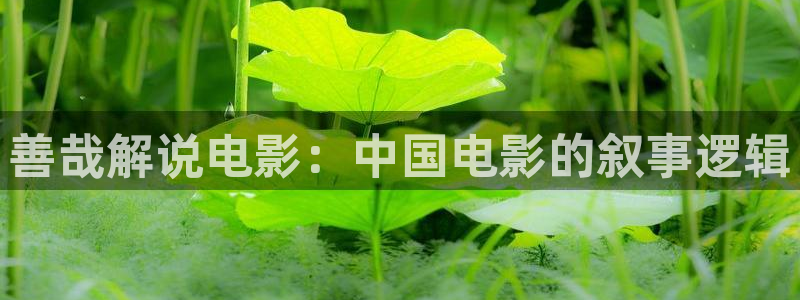 神马影院理论片免费：善哉解说电影：中国电影的叙事逻辑