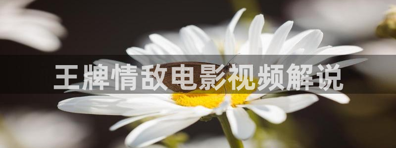 4k4k神马影院：王牌情敌电影视频解说