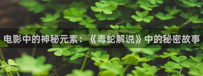 神马午夜午夜影院：电影中的神秘元素：《毒蛇解说》中的秘密故事
