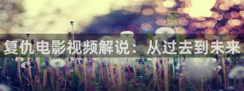 手机版神马电影：复仇电影视频解说：从过去到未来