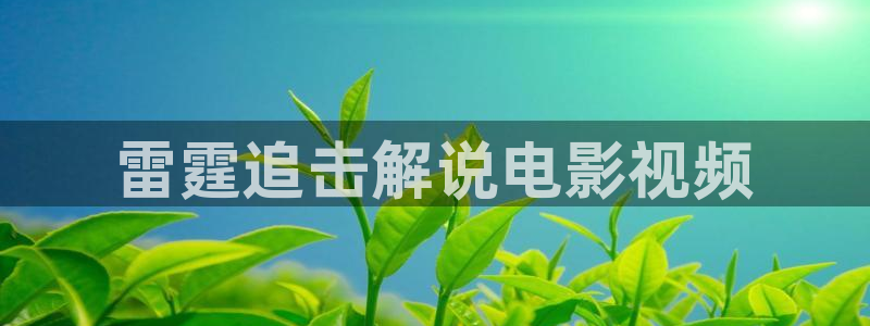 神马电影ok：雷霆追击解说电影视频