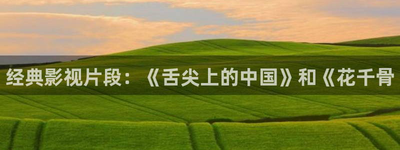 原来神马影院我不卡：经典影视片段：《舌尖上的中国》和《花千骨