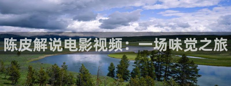 神马达达兔午夜在线观看：陈皮解说电影视频：一场味觉之旅