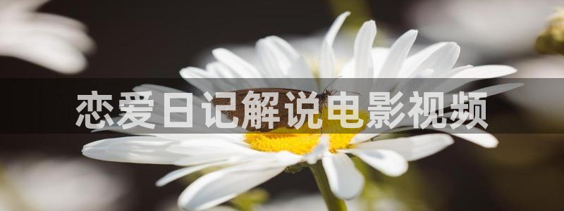 神马香蕉影院：恋爱日记解说电影视频