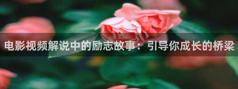 我不是神马电影网影院在线观看：电影视频解说中的励志故事：引导你成长的桥梁