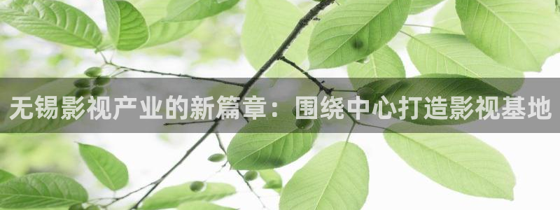神马在线午夜电影：无锡影视产业的新篇章：围绕中心打造影视基地
