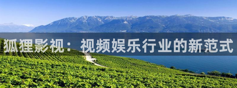 神马电影网?：狐狸影视：视频娱乐行业的新范式