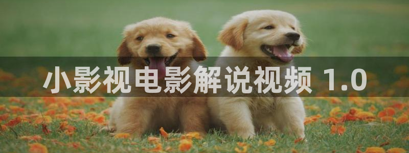 神马影院4k4k：小影视电影解说视频 1.0
