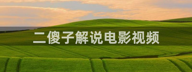 6080神马影院官网：二傻子解说电影视频