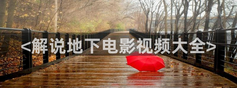 神马电影6080：<解说地下电影视频大全>