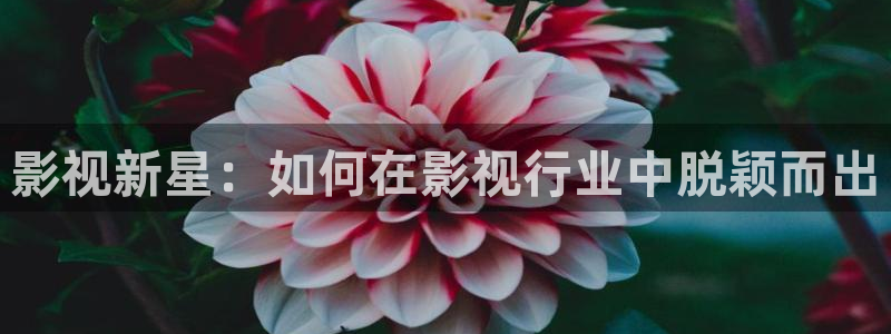 神马电影达达兔第九：影视新星：如何在影视行业中脱颖而出