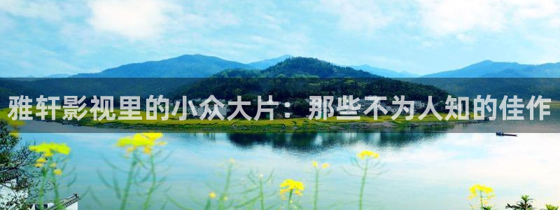91神马影院：雅轩影视里的小众大片：那些不为人知的佳作