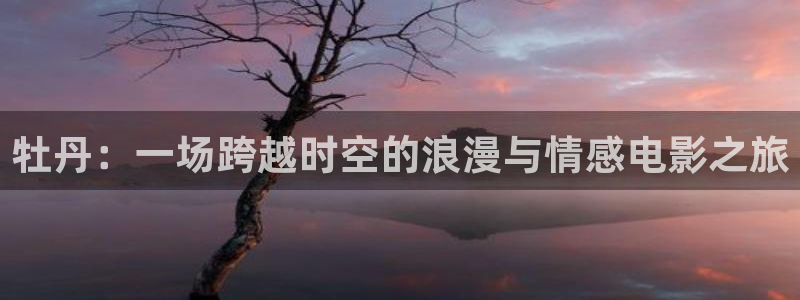 神马电影妈妈的职业：牡丹：一场跨越时空的浪漫与情感电影之旅