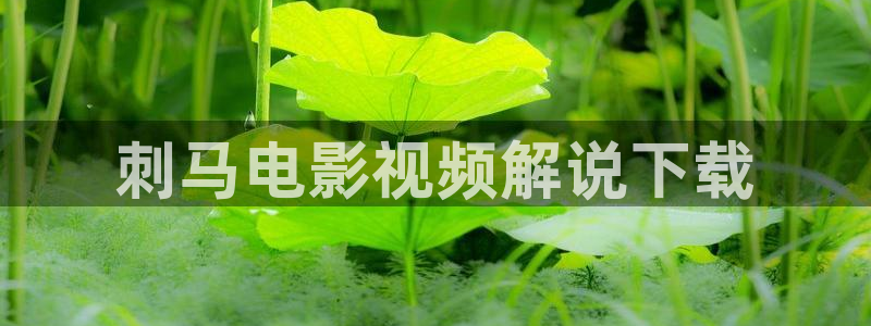 神马影视我不卡影院：刺马电影视频解说下载