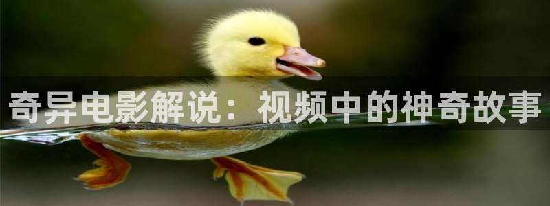 神马影院免：奇异电影解说：视频中的神奇故事