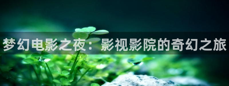 神马影视在线伦理：梦幻电影之夜：影视影院的奇幻之旅