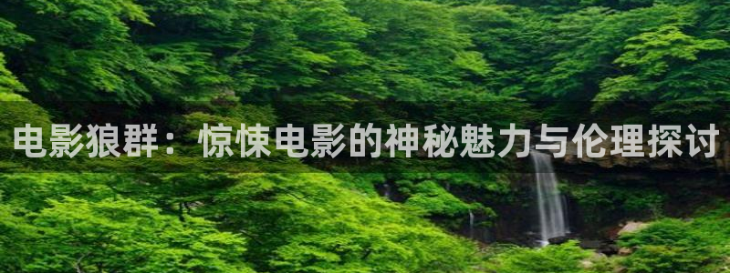 神马影院电影免费：电影狼群：惊悚电影的神秘魅力与伦理探讨