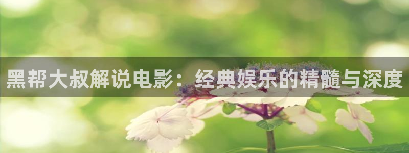 惊变神马电影：黑帮大叔解说电影：经典娱乐的精髓与深度