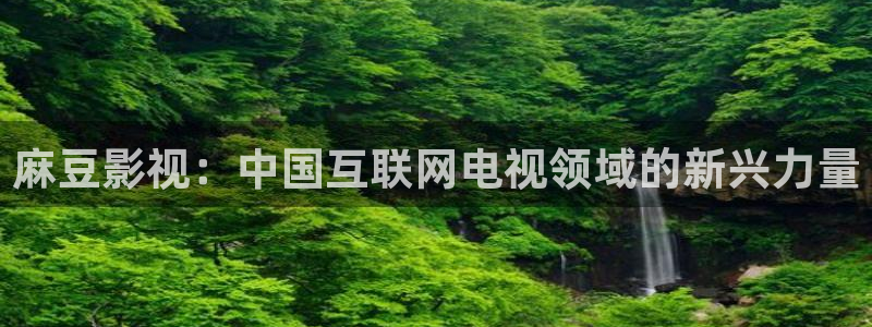 原来神马影视在线观看电影：麻豆影视：中国互联网电视领域的新兴力量